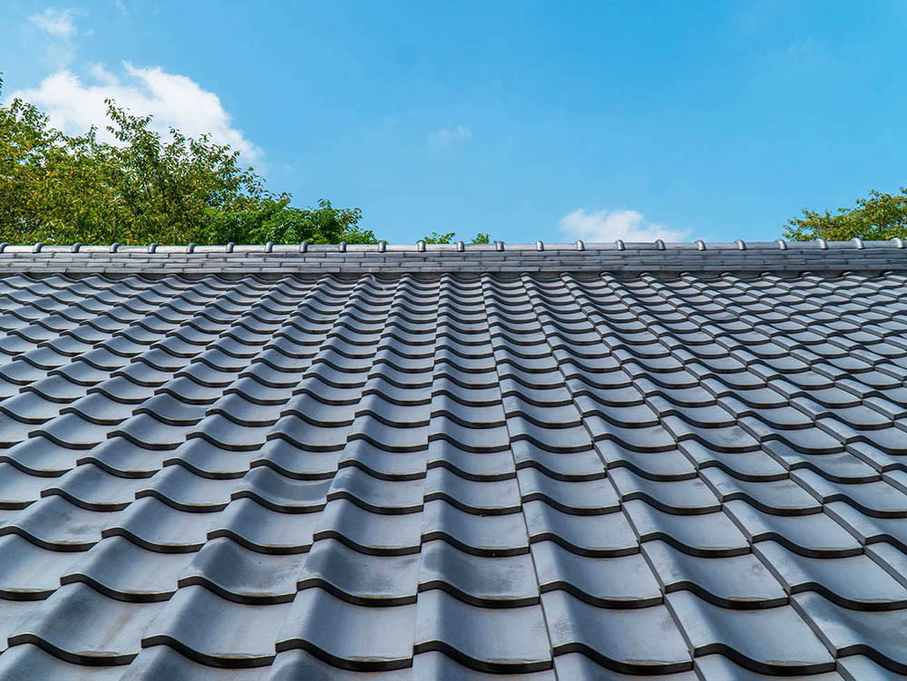 ごあいさつ画像